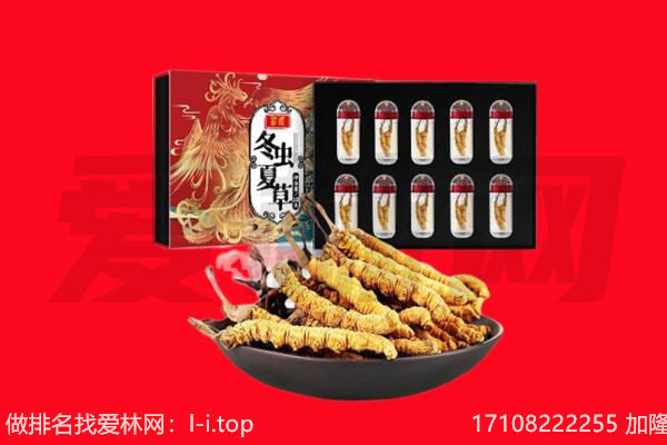 开封回收虫草.jpg